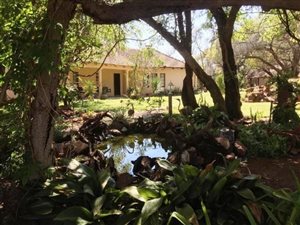 18 ha Smallholding in Modimolle