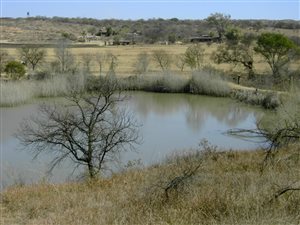 5 ha Land available in Rietfontein