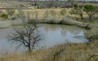 5 ha Land available in Rietfontein