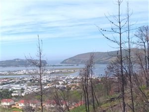 1356 m² Land available in Knysna Heights