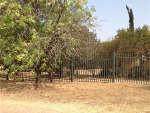 1.1 ha Land available in Leeuwfontein
