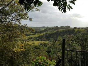 3.6 ha Smallholding in Southport