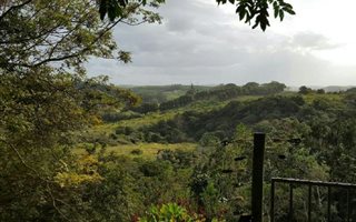 3.6 ha Smallholding in Southport