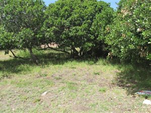 816 m² Land available in Reebok