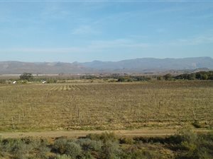Farm in Robertson
