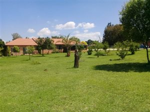 7 Bed House in President Park