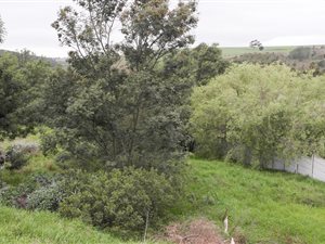1932 m² Land available in Caledon