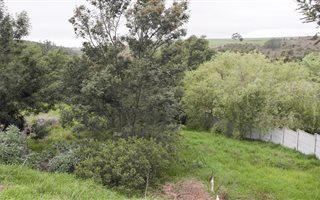 1932 m² Land available in Caledon