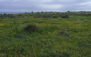 843 m² Land available in Hoogland