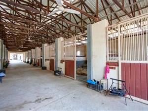 4.7 ha Farm in Bridle Park