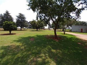 2 ha Land available in Bapsfontein