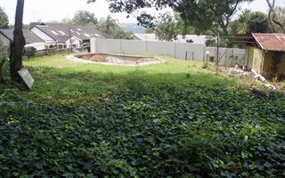 1000 m² Land available in Northcliff