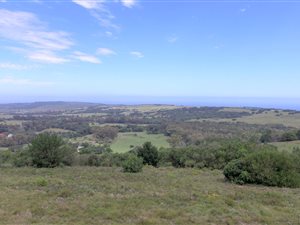 124.1 ha Farm in Kragga Kamma