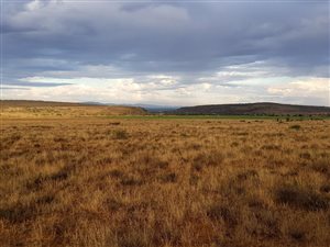 1700 ha Farm in Graaff Reinet