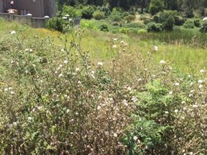 1319 m² Land available in Heather Park
