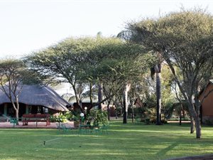 21.9 ha Farm in Louis Trichardt