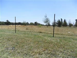 4.2 ha Farm in Hartzenbergfontein