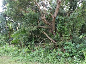 2023 m² Land available in Port Edward