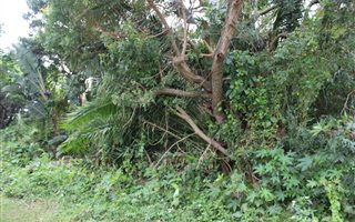 2023 m² Land available in Port Edward