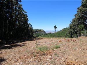 3.4 ha Land available in Hogsback