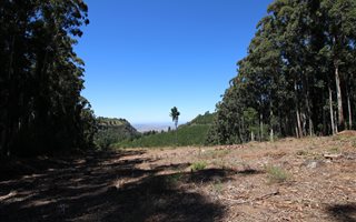 3.4 ha Land available in Hogsback