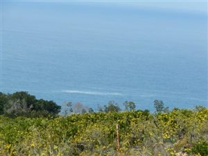 4599 m² Land available in Pezula Private Estate