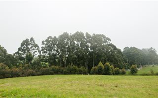 763 m² Land available in Mont Fleur Mountain Estate