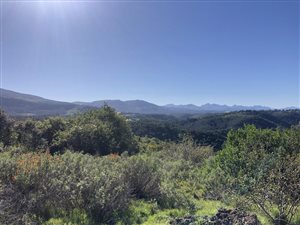 4.9 ha Land available in Wilderness Heights