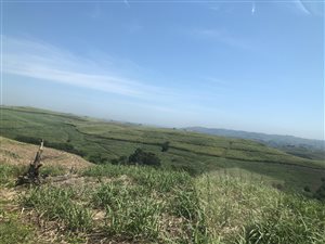 22.2 ha Farm in Hibberdene