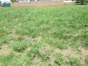 690 m² Land available in The Hills