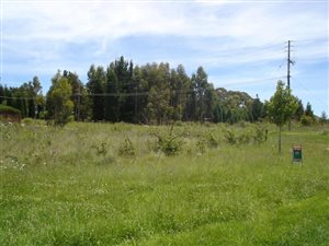 Commercial space in Dullstroom