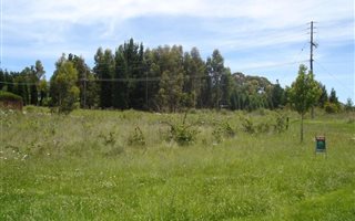 Commercial space in Dullstroom