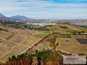 5 ha Farm in Stellenbosch Agricultural