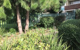 1 Bedroom Apartment in Glenhazel