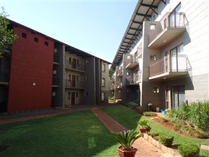 Studio Apartment in Dorandia