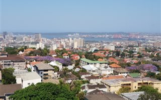 1.5 Bedroom Apartment in Musgrave