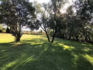 2.6 ha Farm in Beckedan