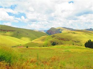 1027 m² Land available in Dullstroom