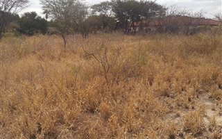 1000 m² Land available in Hectorspruit