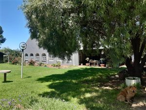 4.3 ha Land available in Estoire