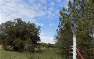 3.5 ha Land available in Knopjeslaagte