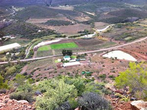 45.5 ha Farm in Ladismith