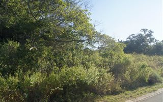 1209 m² Land available in Mount Richmore Estate