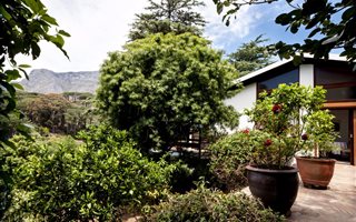 3 Bedroom House in Higgovale