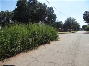 1260 m² Land available in Welgedacht