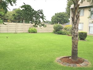 2 Bed Apartment in Ravenswood