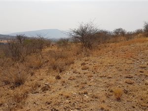 832 m² Land available in Burgersfort