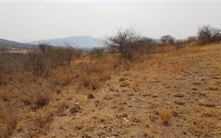 832 m² Land available in Burgersfort