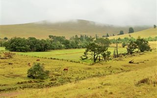 1092 ha Farm in Cathcart