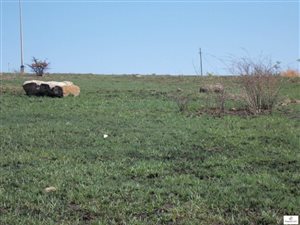 936 m² Land available in Fouriesburg
